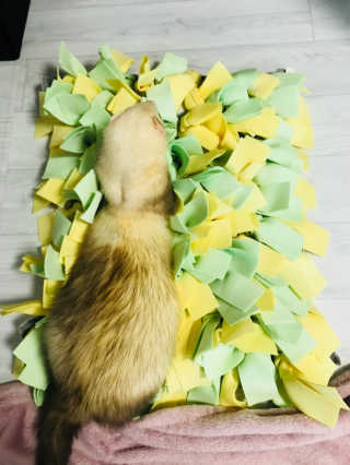 이소현님이 올린 리뷰 사진 2