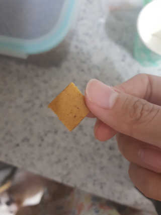 신블리님이 올린 리뷰 사진 3