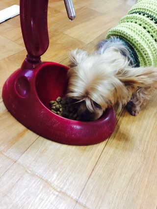 융밍님이 올린 리뷰 사진 3