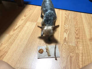 김로이님이 올린 리뷰 사진 2
