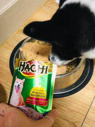 [펫토리아] 토로토로 하치  강아지 파우치간식 — 5점을 준 리뷰어가 2019년 6월 올린 사용 사진