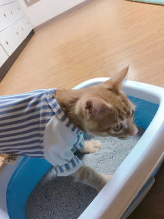 jiiiii님이 올린 리뷰 사진 2