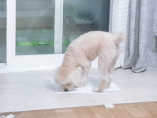 샤샤샥님이 올린 리뷰 사진 2