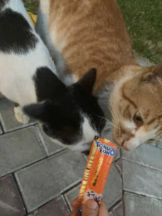 연이님이 올린 리뷰 사진 2