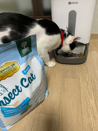 그린펫푸드 인섹트캣 글루텐프리（1.2KG） — 5점을 준 리뷰어가 2019년 9월 올린 사용 사진