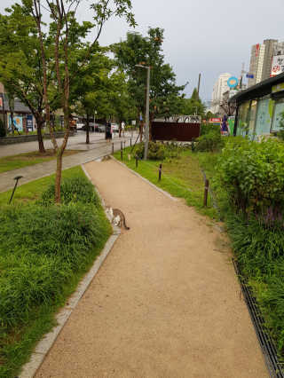 designerjs님이 올린 리뷰 사진 4