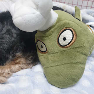 Rooloo님이 올린 리뷰 사진 1