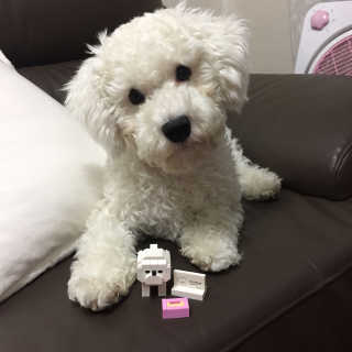 혜진님이 올린 리뷰 사진 1