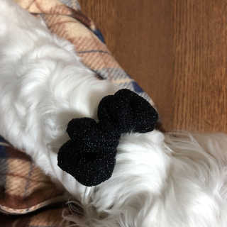 영짱짱님이 올린 리뷰 사진 2