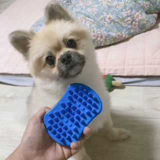 은이쨩님이 올린 리뷰 사진 2