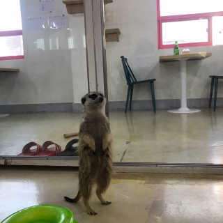 꾸엥님이 올린 리뷰 사진 3
