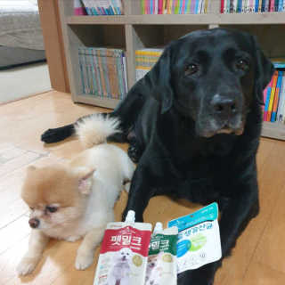 호웅맘님이 올린 리뷰 사진 2
