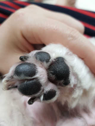 민우다빈이맘님이 올린 리뷰 사진 4
