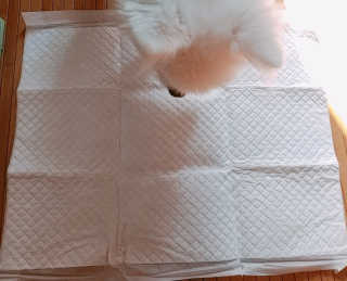 치르치르님이 올린 리뷰 사진 3