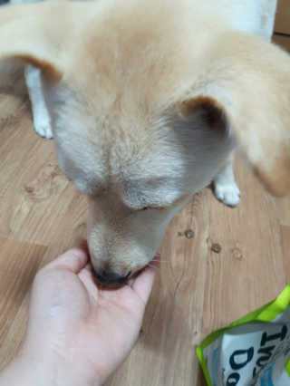 JinSePark님이 올린 리뷰 사진 4
