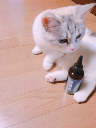 쿠쿠밍님이 올린 리뷰 사진 1