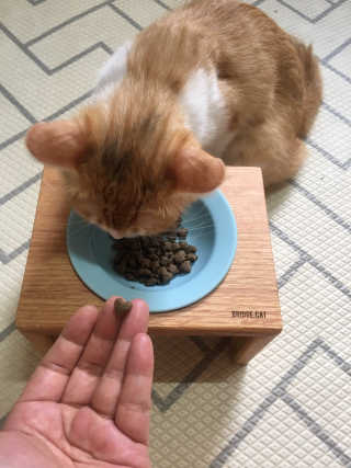 쿠키순대맘님이 올린 리뷰 사진 4