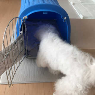 율리킴님이 올린 리뷰 사진 4