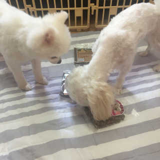가닝님이 올린 리뷰 사진 2