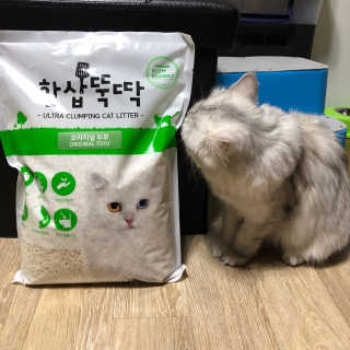 [펫토리아] BEST 고양이두부모래 6L 한삽뚝딱 — 4.5점을 준 리뷰어가 2019년 1월 올린 사용 사진