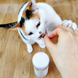 제니언니님이 올린 리뷰 사진 4