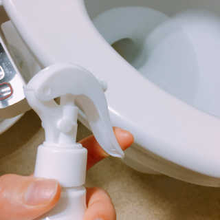 셀로몬 토일렛 스프레이 500ml — 3점을 준 리뷰어가 2018년 5월 올린 사용 사진