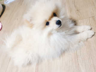 으콩님이 올린 리뷰 사진 3