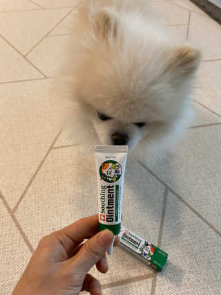 리디아은서님이 올린 리뷰 사진 2