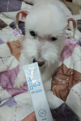 비커잠해피님이 올린 리뷰 사진 1