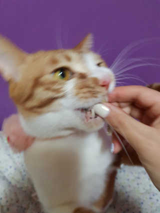 신예지님이 올린 리뷰 사진 4