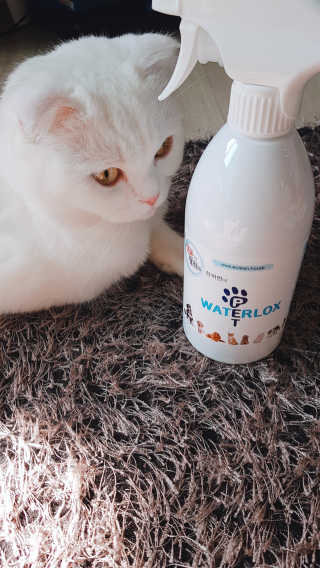 논지님이 올린 리뷰 사진 2