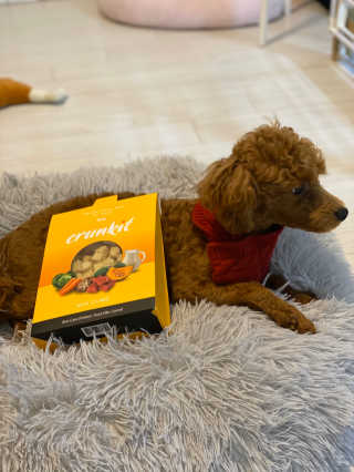 칸쵸님이 올린 리뷰 사진 3
