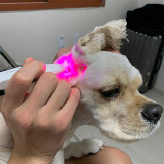Ghhryh님이 올린 리뷰 사진 1