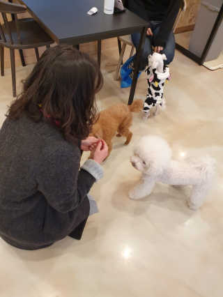 스누피1212님이 올린 리뷰 사진 1