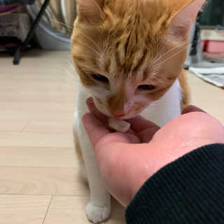 ollie님이 올린 리뷰 사진 2