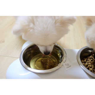 박수진님이 올린 리뷰 사진 1