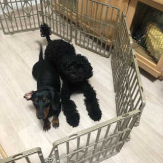 멍이냥이님이 올린 리뷰 사진 2