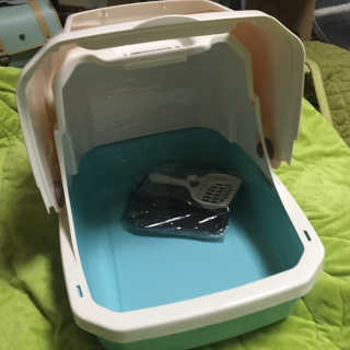 이브생로랑님이 올린 리뷰 사진 2