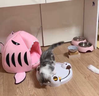 이가빈님이 올린 리뷰 사진 1