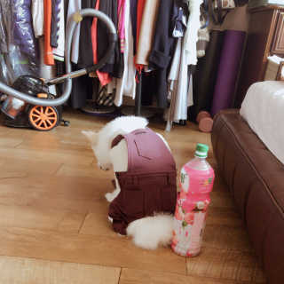 두부감자님이 올린 리뷰 사진 1