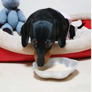 쏘니언니님이 올린 리뷰 사진 3