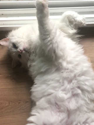 WonheeHan님이 올린 리뷰 사진 4