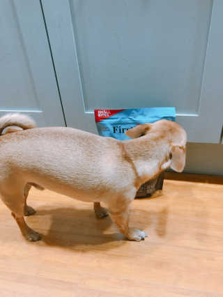 유르율님이 올린 리뷰 사진 1