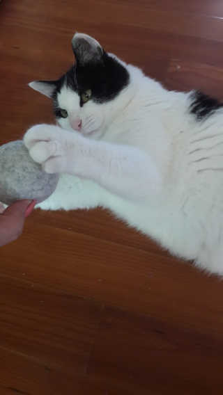 한라봉님이 올린 리뷰 사진 3