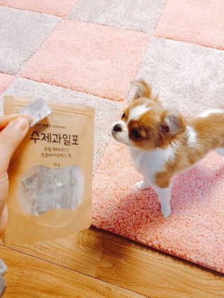 꼬몽이님이 올린 리뷰 사진 3