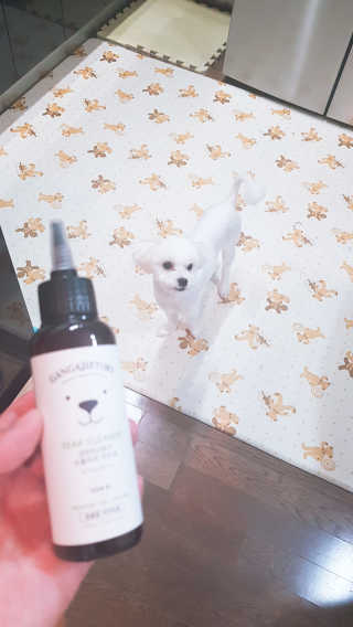 대발님이 올린 리뷰 사진 2