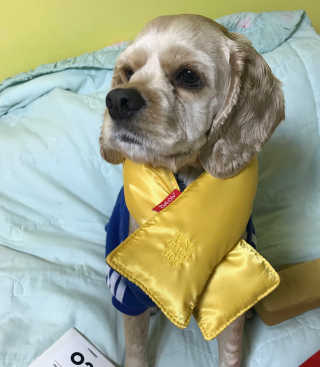 연정님이 올린 리뷰 사진 2