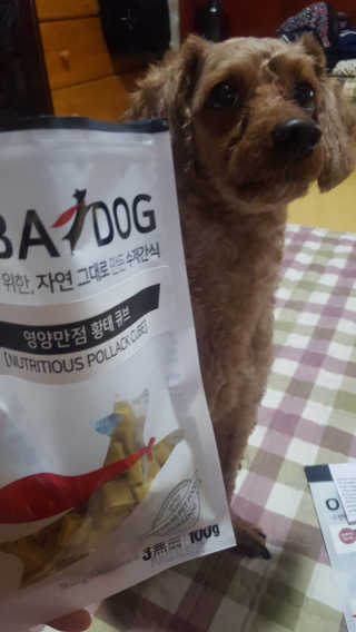 오빠독 국내산 강아지 간식 수제 큐브 4종 — 4.83점을 준 리뷰어가 2018년 4월 올린 사용 사진