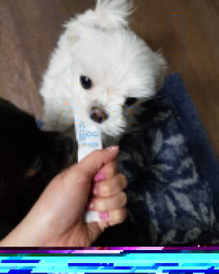 보니님이 올린 리뷰 사진 2
