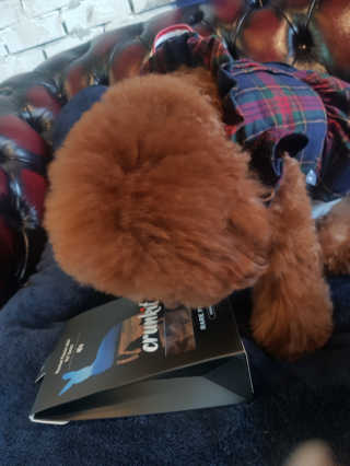 쪼꼬짱님이 올린 리뷰 사진 1